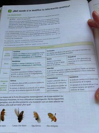 Biología y Geología, 4ºESO, Revuela. Editorial SM