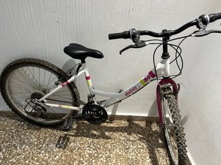 Bicicleta infantil/juvenil 24 Denbike