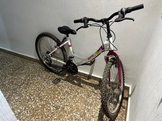 Bicicleta infantil/juvenil 24 Denbike
