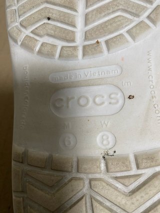 Zuecos Crocs Blancos W8