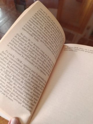 Le Crepuscule D'Un Ange