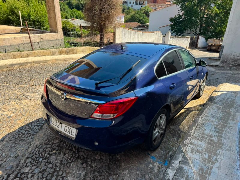 Opel Insignia 2010 - foto 1