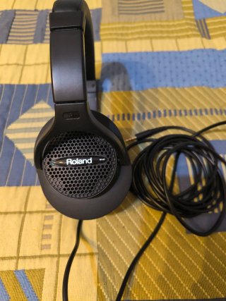 Auriculares Roland RH-A7 Negro