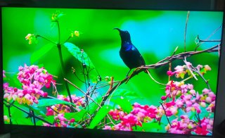 Samsung 55 Smart TV