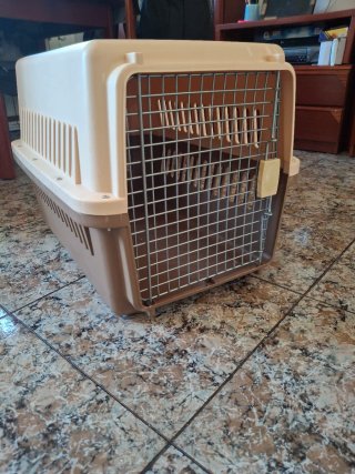 Transportín perro mediano