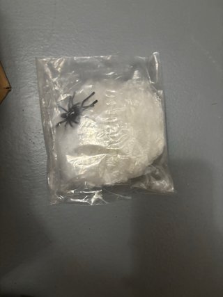 Araña de plástico con telaraña