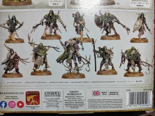 10 Rotmire Creed/Credo Putrefango