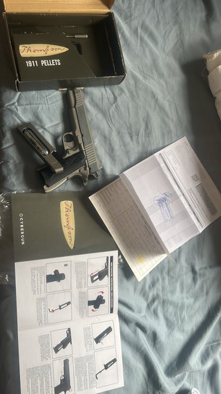 Thompson 1911 Silver CO2