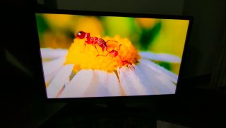 LG Smart TV 28 Negro