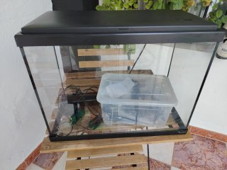 Acuario con filtro y luz