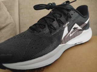 Zapatillas Nike Pegasus Trail 5 ReactX Negro/Blanc