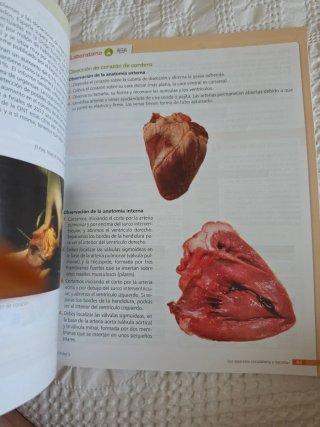 Biología y geología, 3.o ESO