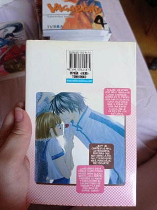 Lote 6 Mangas Shojo / Romance