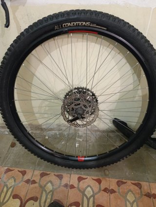 Rueda trasera 29 All Conditions