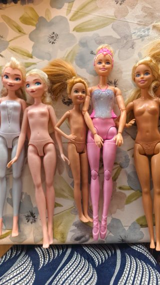 Lote de 10 Barbies y 1 Ken