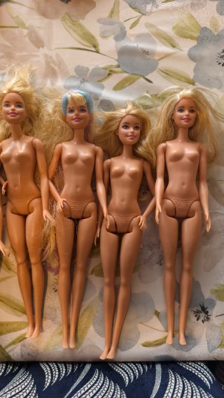 Lote de 10 Barbies y 1 Ken