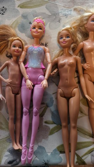 Lote de 10 Barbies y 1 Ken