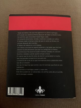 Naufragio en la 338 – Loreto Sesma