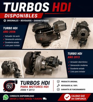Turbo 1.6 TDCi 115 CV Motor T1DA