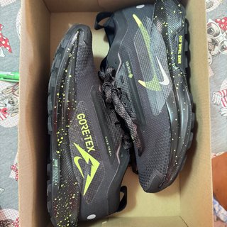 Zapatillas Nike Pegasus Trail 5 Goretex Talla 39