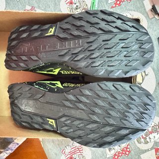 Zapatillas Nike Pegasus Trail 5 Goretex Talla 39