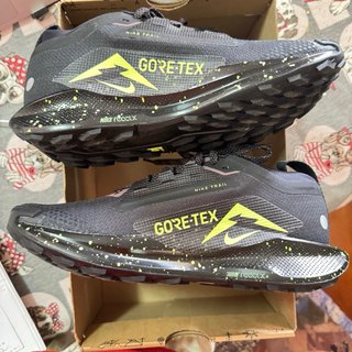 Zapatillas Nike Pegasus Trail 5 Goretex Talla 39