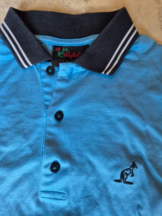 Lote 3 polos