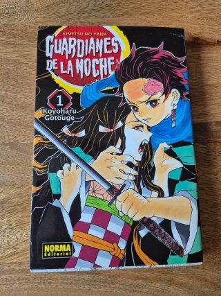 Guardianes de la Noche. Libro 1