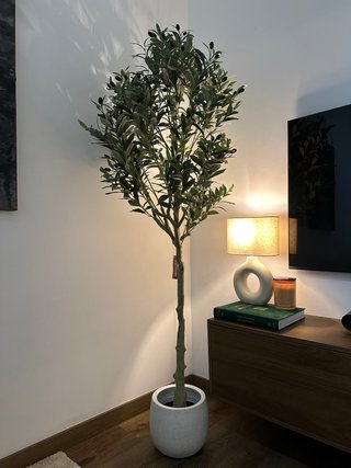 Olivo artificial decorativo