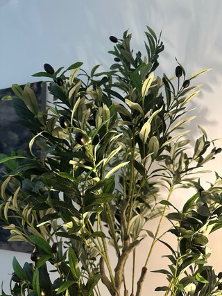 Olivo artificial decorativo