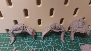 Kit Decoración SW Dreadnought Greytide WH40K