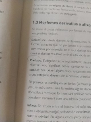 Llengua catalana i Literatura 1 BA