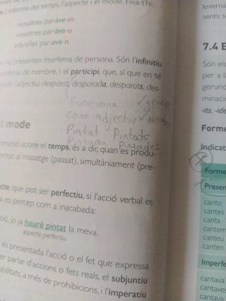 Llengua catalana i Literatura 1 BA