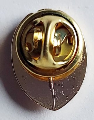 Pin Valencia C.F. Dorado