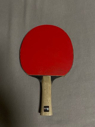 Pack Raqueta Tenis Mesa