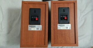 Pareja de Altavoces Marrones