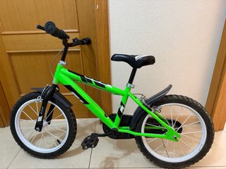 Bicicleta Infantil Dino Bikes 16 Pulgadas