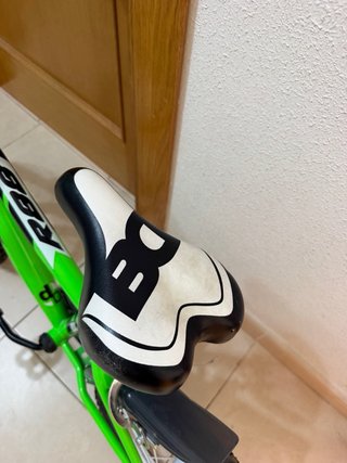 Bicicleta Infantil Dino Bikes 16 Pulgadas
