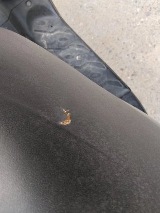 Despiece Peugeot Speedfight