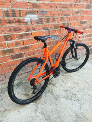 Bicicleta de Montaña Naranja