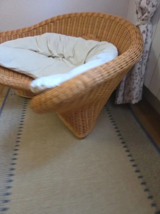 Sillón de meditación ratán con cojín