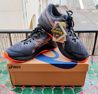 Zapatillas Asics Trail Running Impermeables 13 USA