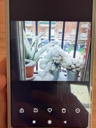 Móvil Xiaomi Mi