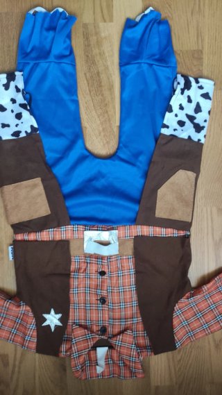 Disfraz Vaquero Infantil T12-24