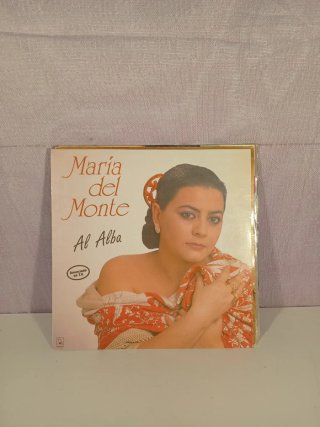 Lote discos vinilo