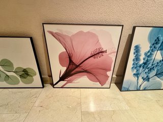 Conjunto 3 cuadros botánicos decorativos con marco