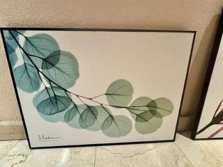 Conjunto 3 cuadros botánicos decorativos con marco