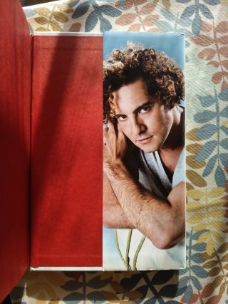 David Bisbal Desde dentro