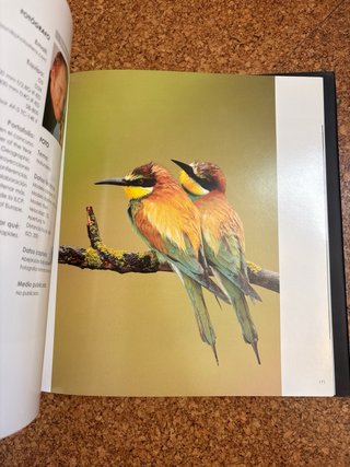 Libro Foto Nikon