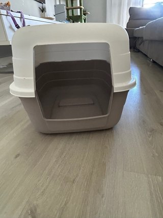 Arenero para gato